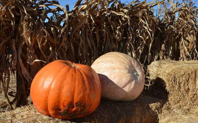October Events for Kids & Family