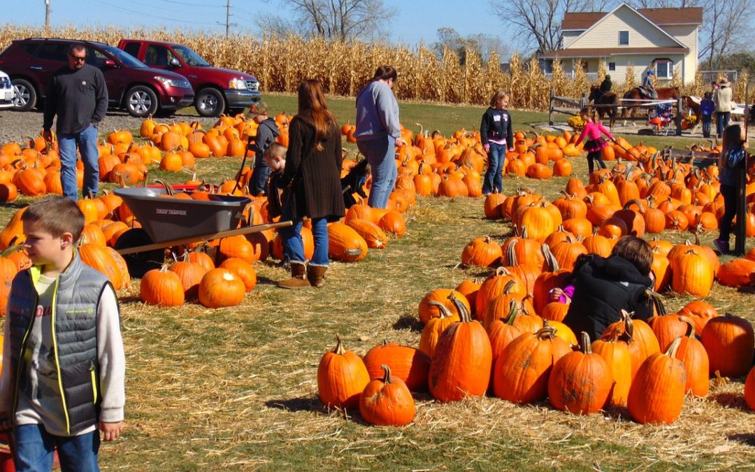 4 West Michigan Fall Time events!