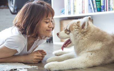 Help, My Pet has Bad Breath!