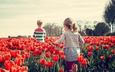 Tulip Time Events: Part 2