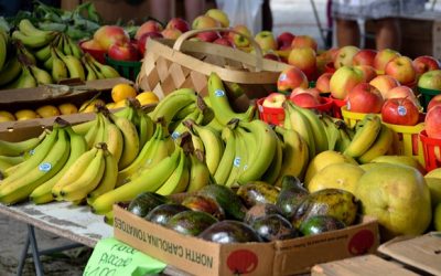 Farmers Market Teaching Kids to Eat Healthy