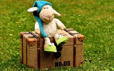 Summer Events at Allegan Public Library