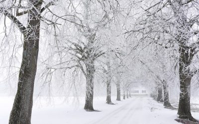 10-Year-Old Strives to Keep the Less Fortunate Warm This Winter